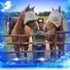 compadre87